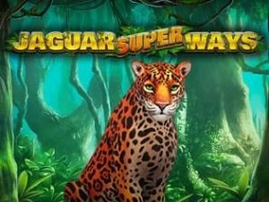 jaguar_superways